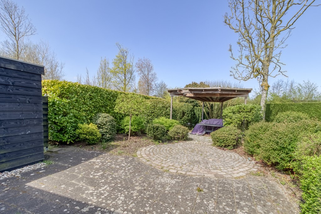 Liguster 77 Nieuwvliet-9.jpg